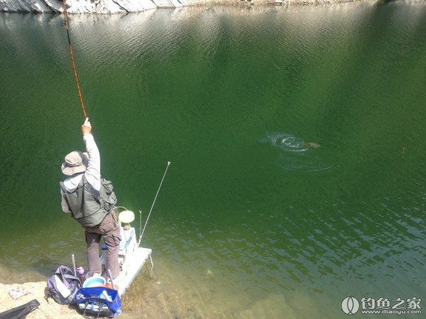 探钓野生鱼视频,探钓野生水库