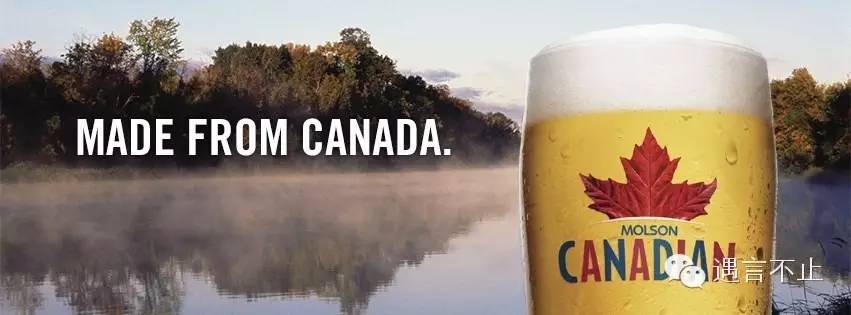 当加拿大女婿,你以为小撒容易吗?