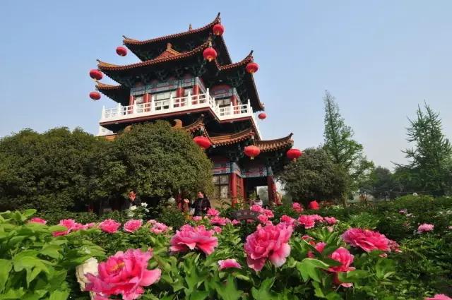 娲涢槼鐢熸椿鏀荤暐,娲涢槼鏈湴鐢熸椿鎸囧崡