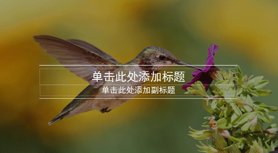 ppt知识点总结制作教程,ppt制作教程总结篇