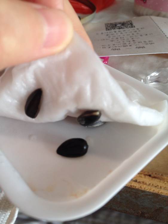 盆栽向日葵花蕾期怎样打杈请示范,手工编织钩针向日葵盆栽视频教程