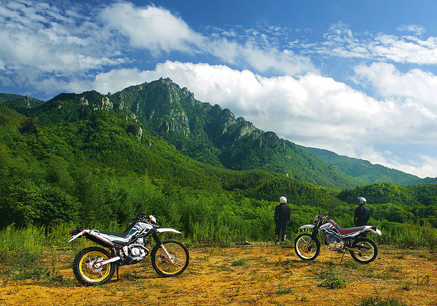 不老的“小鹿”，雅马哈SEROW