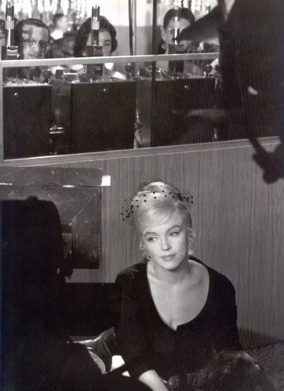 世界上真的有最后一只狐狸吗,世界上第一只狐狸