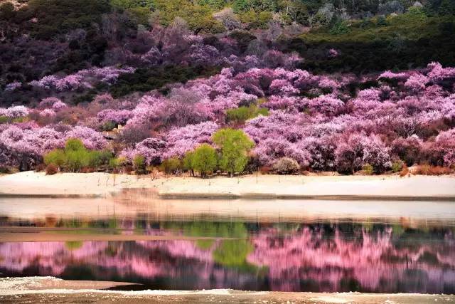 清明小长假出游提醒 (清明小长假微信消息)