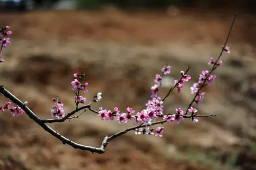 保定你竟然这么花!我真是看错你了!