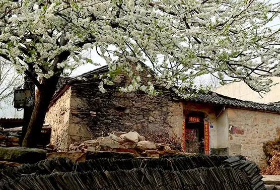 湖北大山真是美,湖北的大山风景太好看了