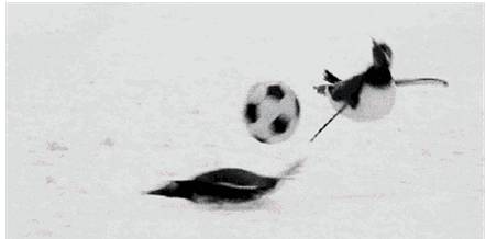 有个热爱篮球的男朋友是什么体验,有一个对你爱不释手的男朋友