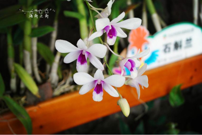 穿过云海后的美景,穿过云海看美景