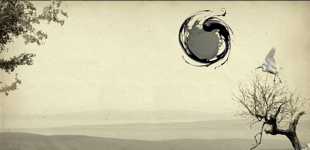 夹在书缝里的素颜中国风