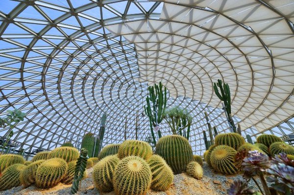 太湖舒畅之旅：乐享田园生活