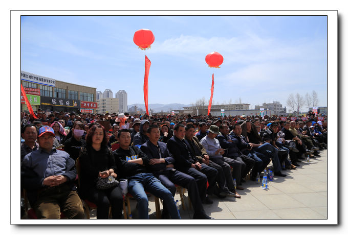 青海互助打起来了，昆仑对决又在青海互助上演搏击大战