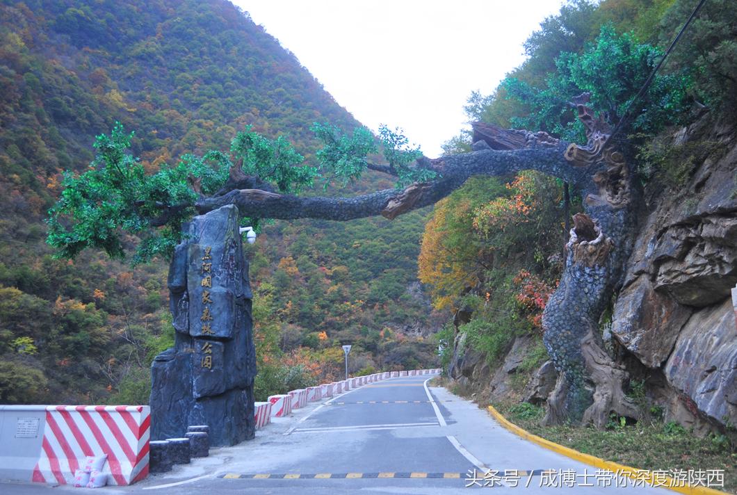 西安有银杏树旅游景区,西安旅游排名前十的景区有哪些