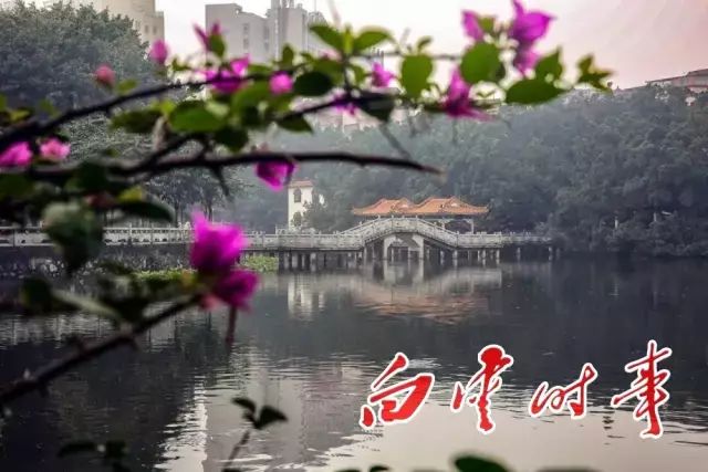 白云有几个村分别叫什么,广州白云有哪些村