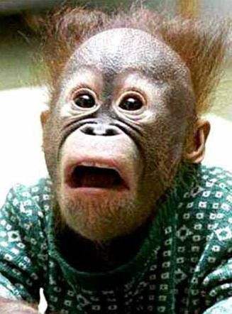 继续爆笑来袭经典片段,爆笑来袭万万没想到系列