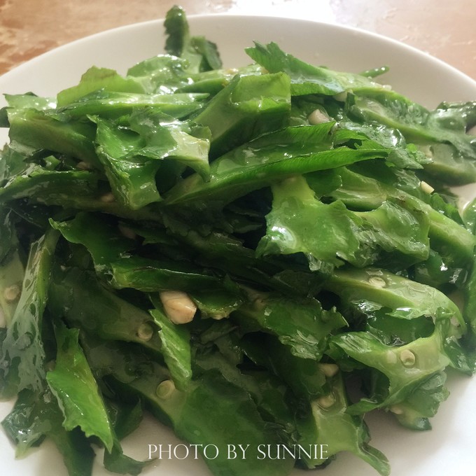 北纬十八度之三亚,北纬18度的旅行三亚游记