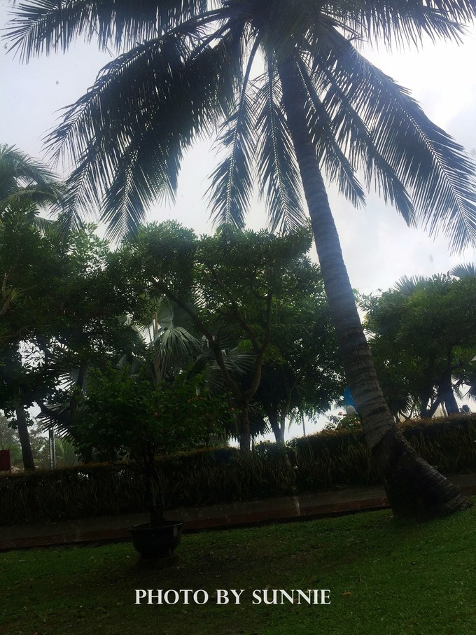 北纬十八度之三亚,北纬18度的旅行三亚游记