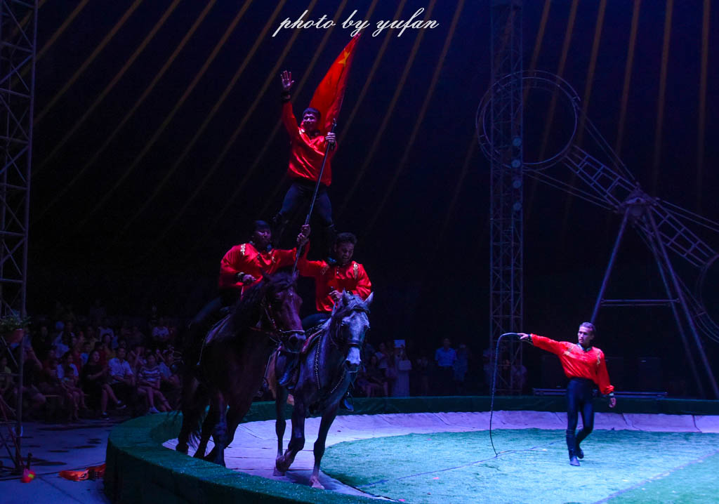 皇家大马戏巴伐利亚,广东哪里有大马戏