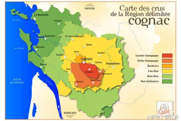 如何选干邑,干邑怎么样