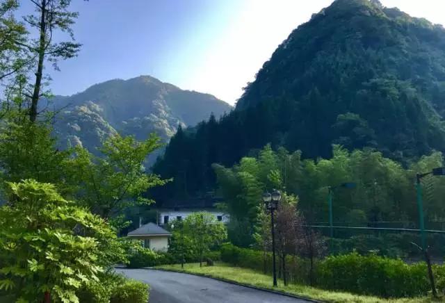 四川旅游攻略及各个景点门票价格,最新四川景点免票