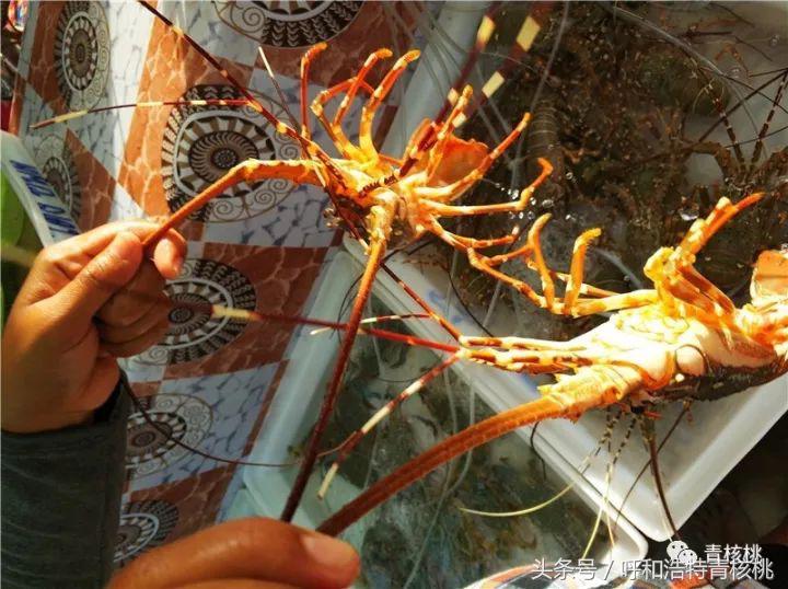 呼和浩特飞普吉岛,刷我滴卡泰国原版