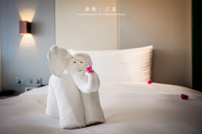 亲子游三亚旅行攻略,三亚北纬十八度亲子游