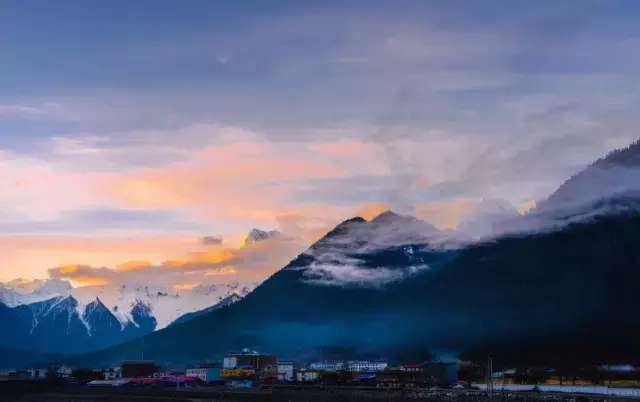 一封来自*藏西**的辞职信