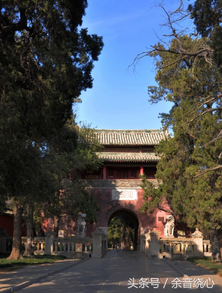 孔子的后代还可以葬入孔林吗,孔子现在的后人能葬孔林吗