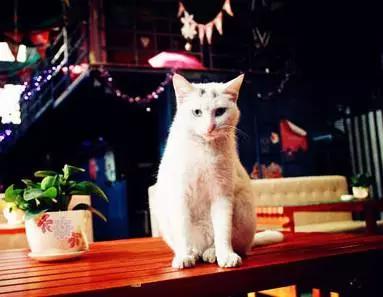 武汉青年旅社哪家最实惠,武汉汉口青年旅社