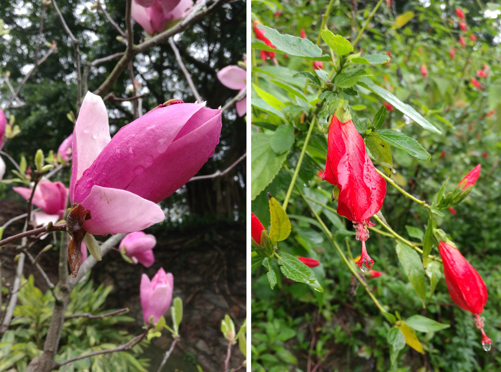 菲·独行侠·福州出发剑走偏锋厦门你可能没去过的美景