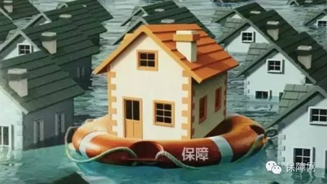 保障网张志标市值,保障网张志标