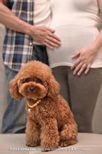 大凶！孕妈，千万别让它靠近你