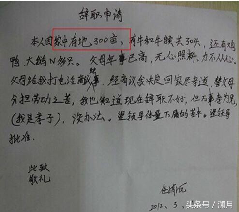 职场最舒服的辞职信,职场上的00后辞职信