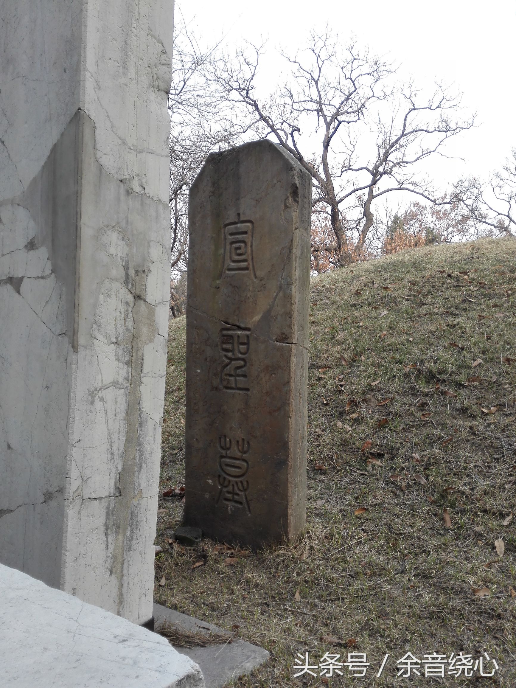 孔子的后代还可以葬入孔林吗,孔子现在的后人能葬孔林吗