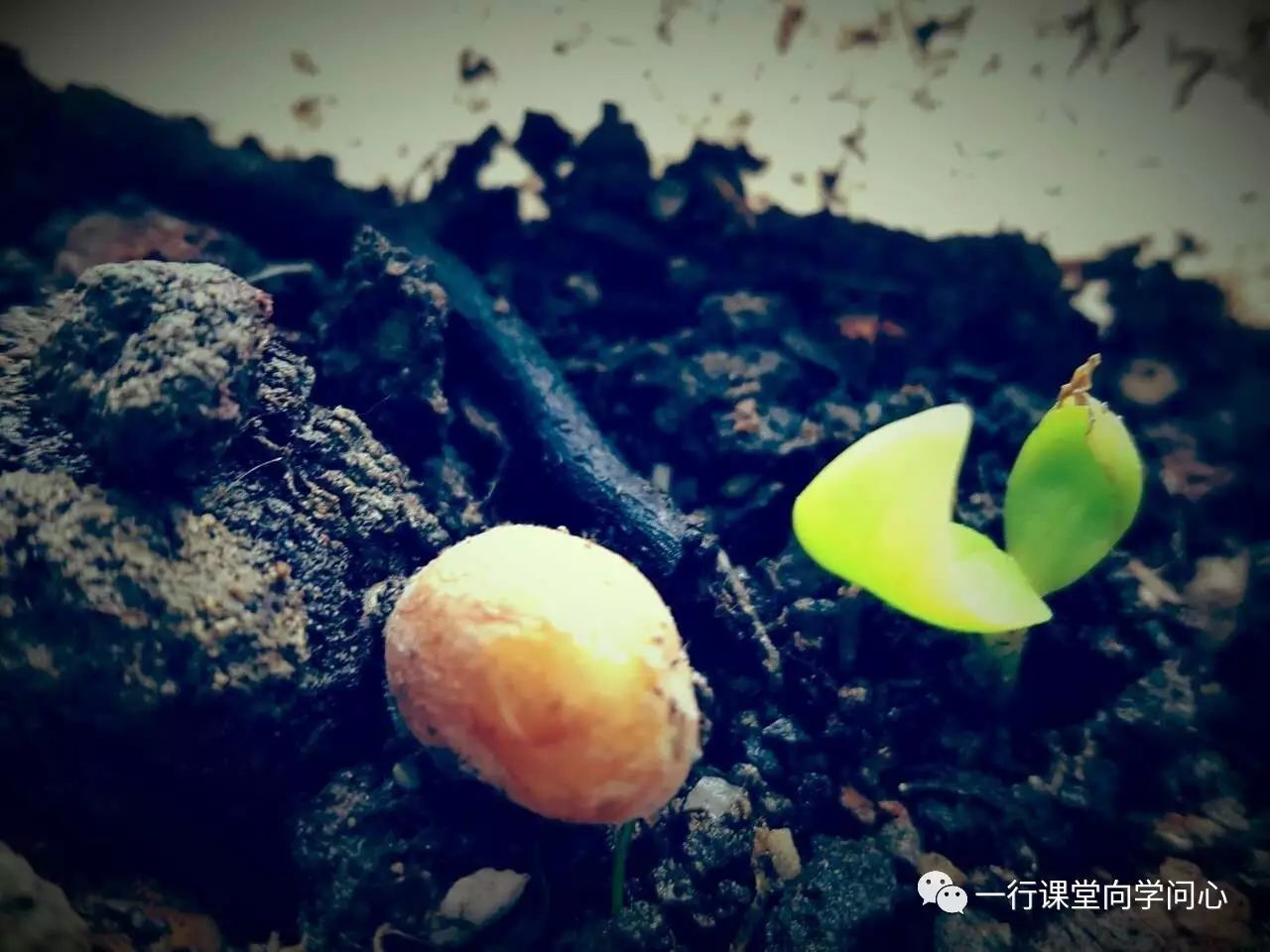 课堂重点知识归纳,课堂常用文学常识