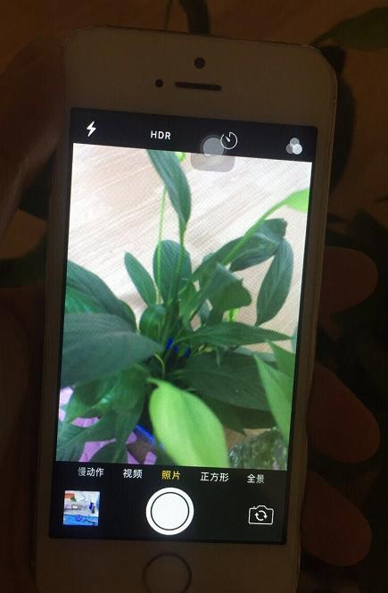 买了个iphone5s当备用机,iphone5s买回来如何使用