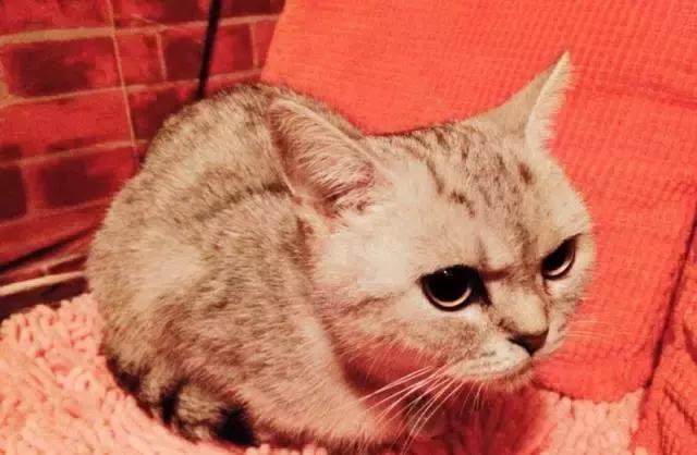 武汉轰趴馆团推荐,武汉综合轰趴馆推荐