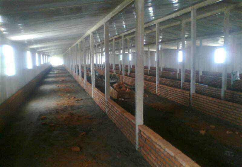 你以为你在外漂泊过得很好,其实你不知道老家的人有多少财产