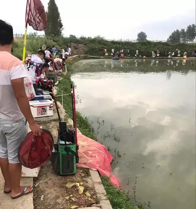 汝南钓鱼大赛,行营钓鱼比赛现场直播