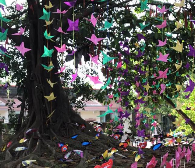 热气球南海桂城,桂城足球农庄团购