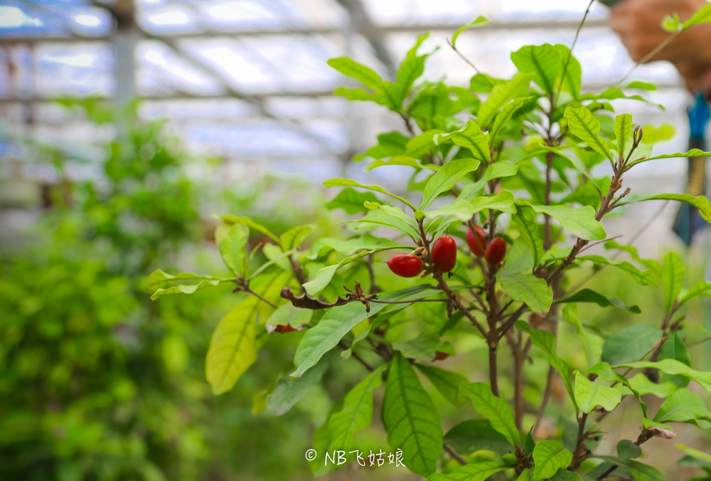 南通滨江公园亲子游,南通洲际绿博园有什么好玩的