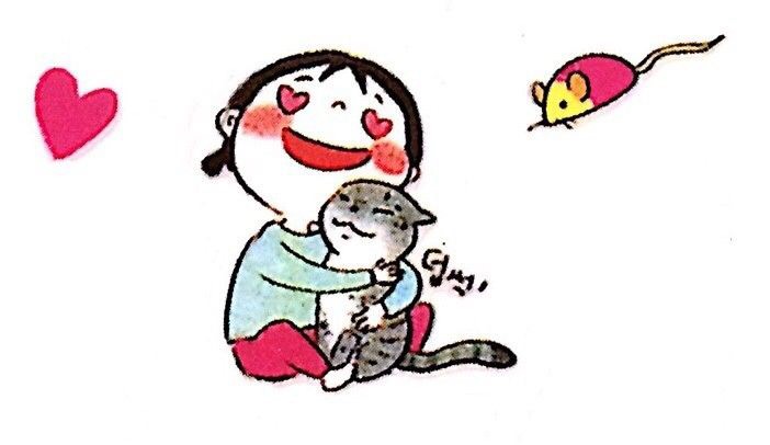 第一次养猫要注意什么,第一次养猫需要什么药