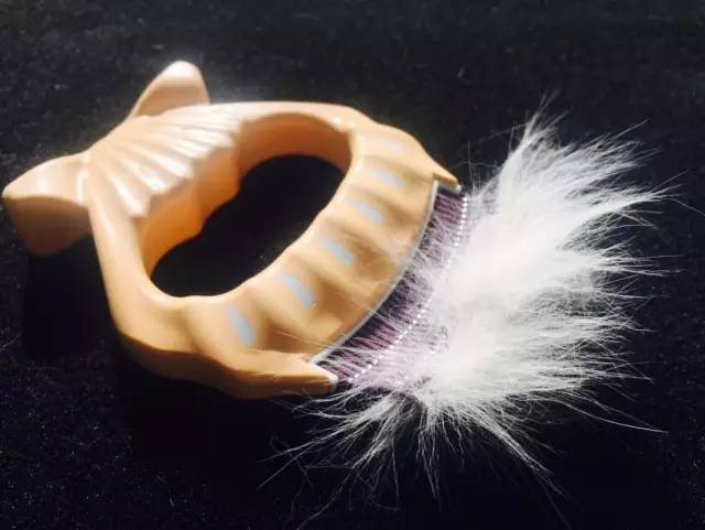 到处都是猫毛|到底什么猫毛梳最好用?