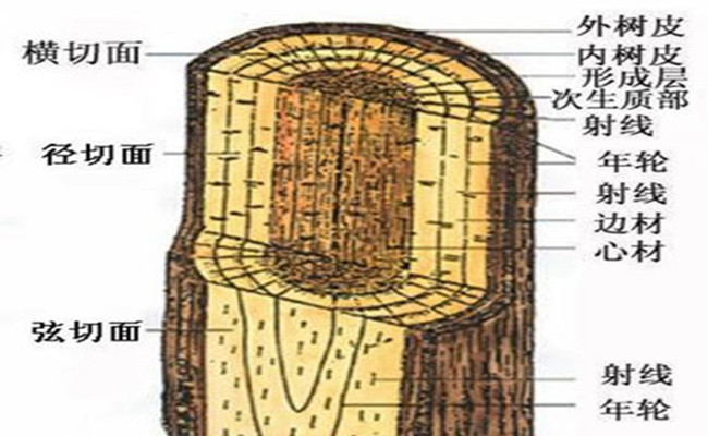 实木门板变形什么原因呢,实木门板颜色为什么有色差