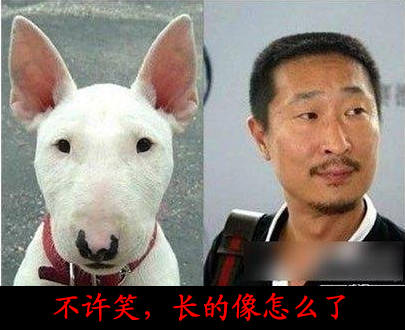 内涵段子，搞笑笑话：不许笑，长的像怎么了