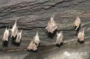 克服疾病恐惧症的方法,治疗恐惧症最好的锻炼方法