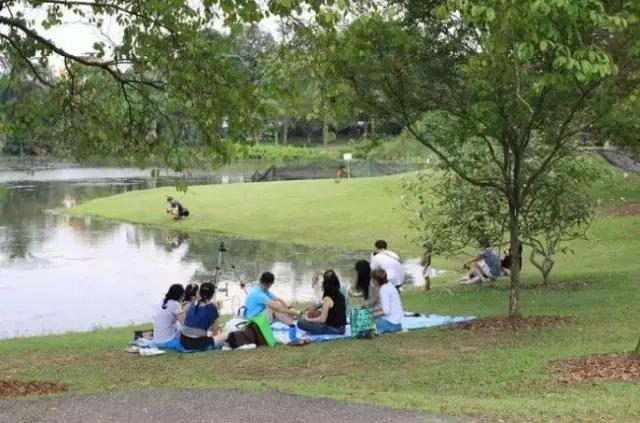 皮具工厂还能干吗,开皮具厂的心酸