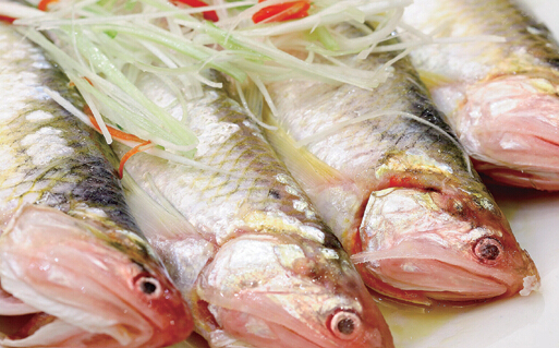 刀鱼价格2022,刀鱼价格