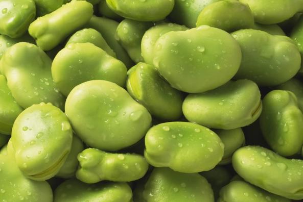 每天食豆三钱,每日吃大豆多少合适