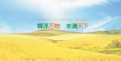 农资电商与实体店之争,农资行业如何重新洗牌