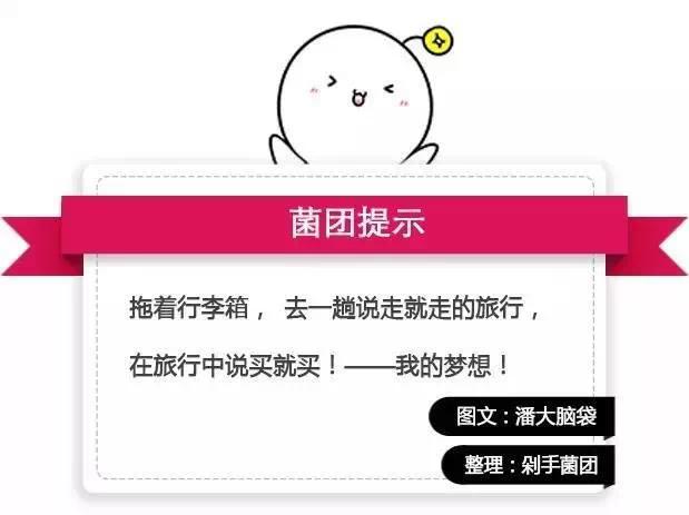 行李箱怕摔,行李箱结实摔不坏